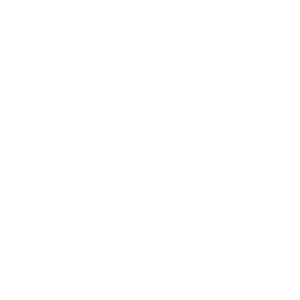 george washington